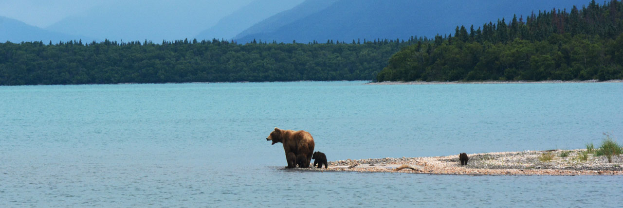 Alaska Cruises